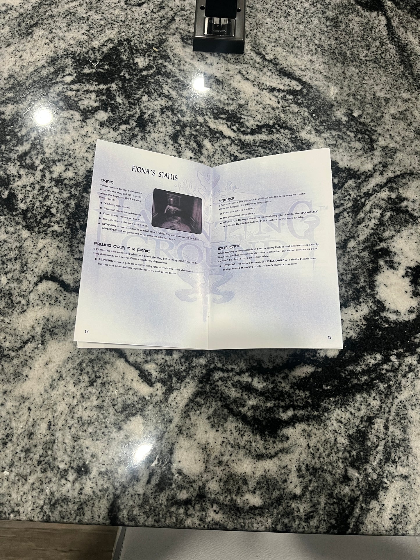 Haunting Ground PS2 Custom Manual