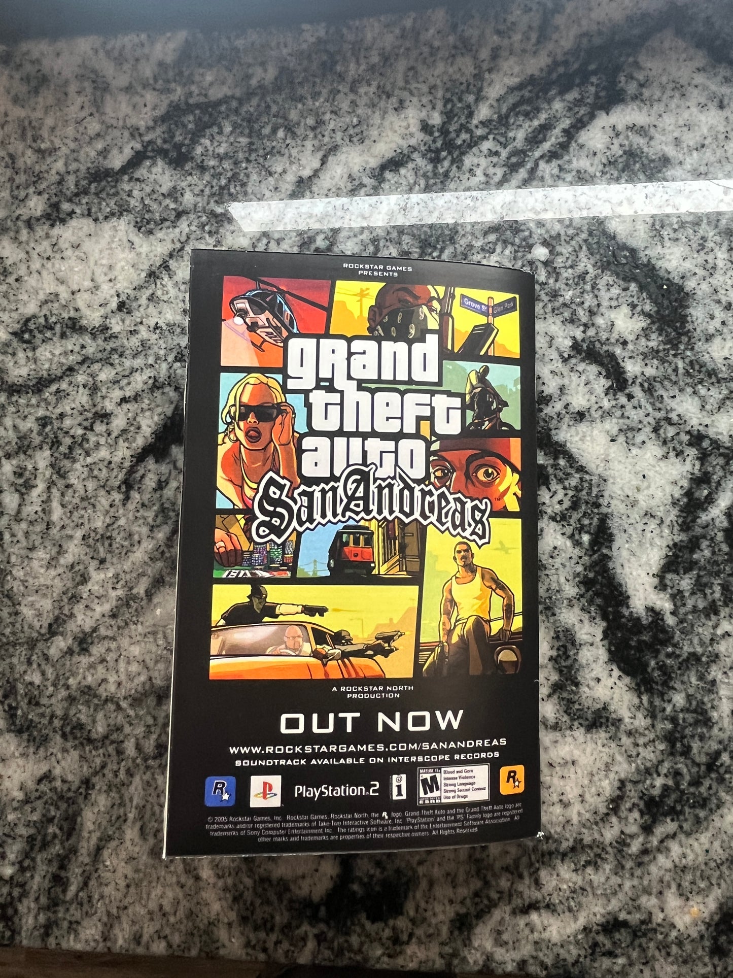 The Warriors PS2 Custom Manual