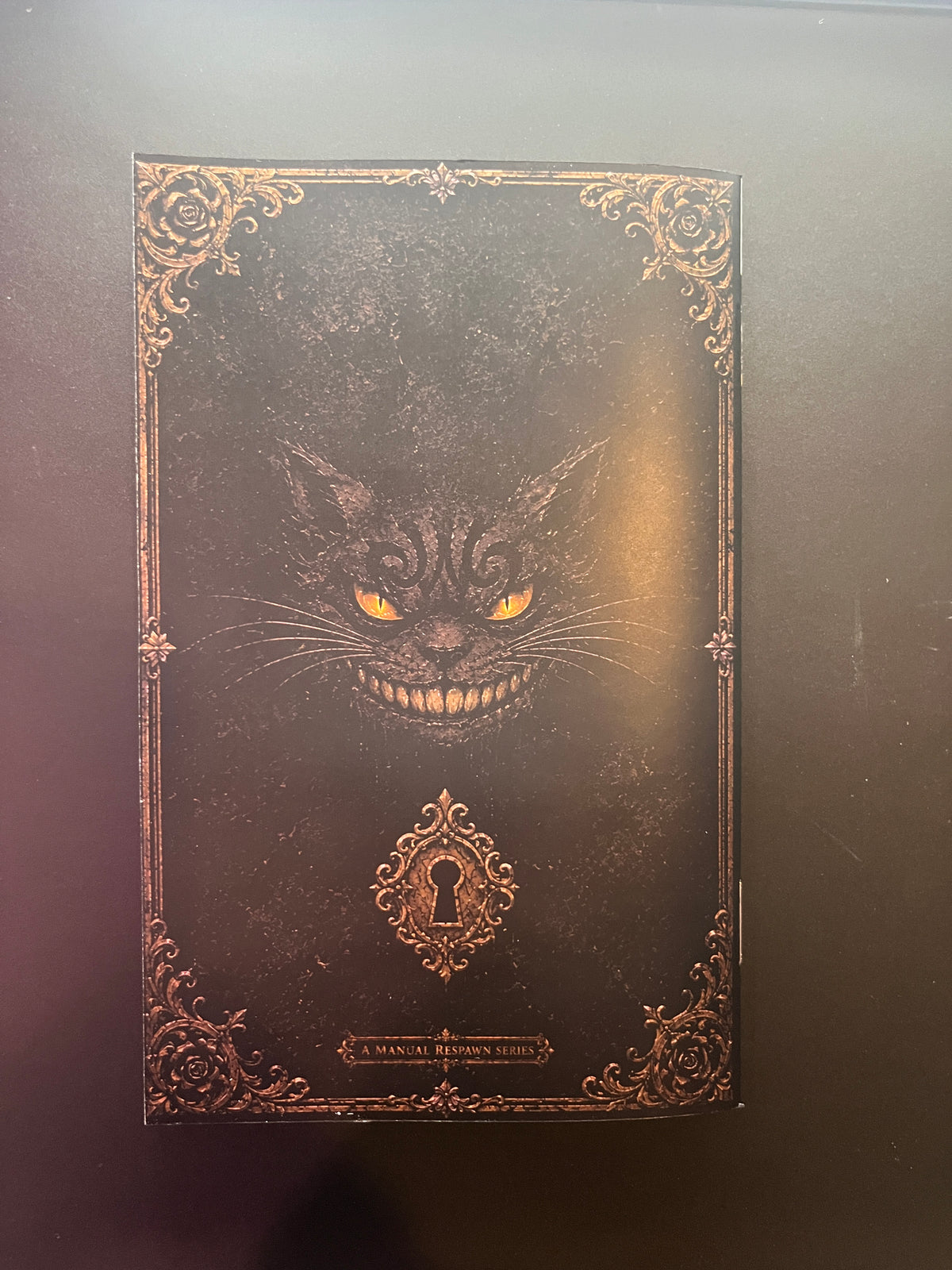 Alice Madness Returns Bikini Xbox 360 Custom Manual