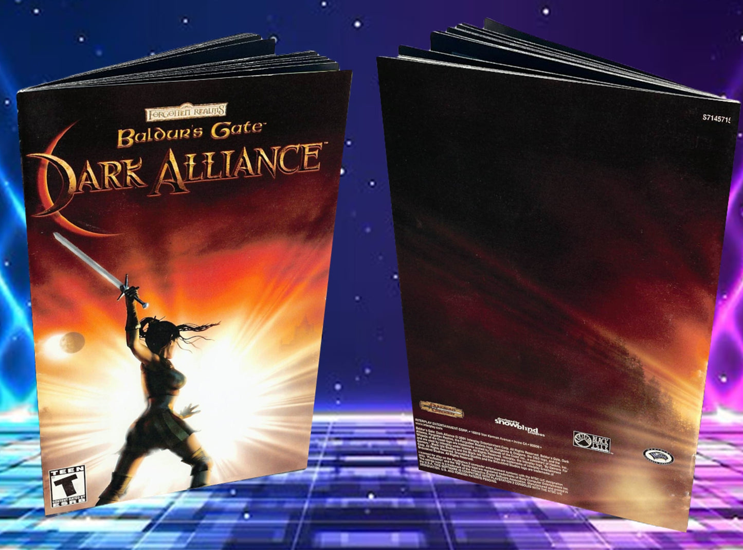 Baldur's Gate Dark Alliance PS2 Custom Manual