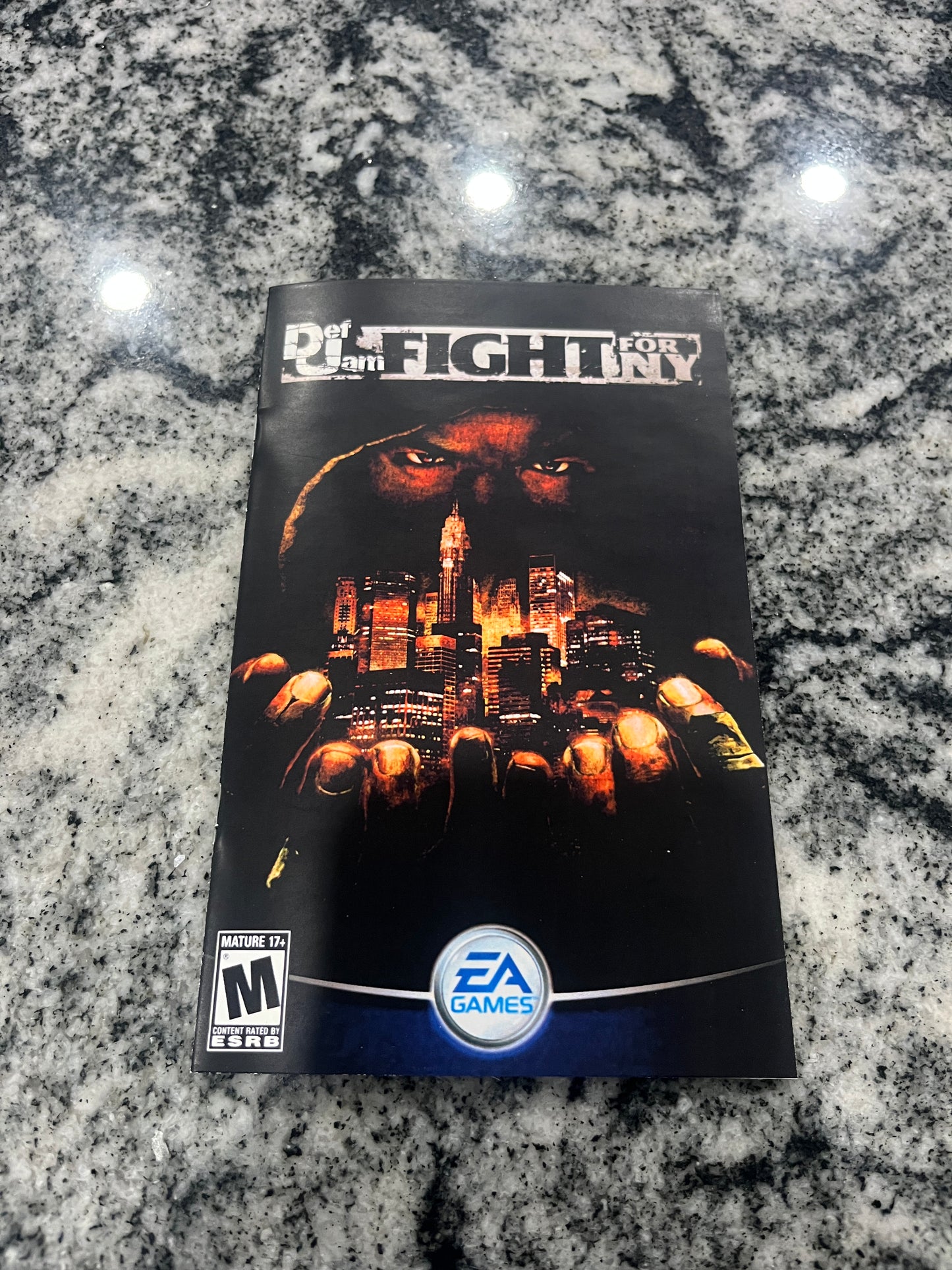 Def Jam Fight for NY PS2 Custom Manual
