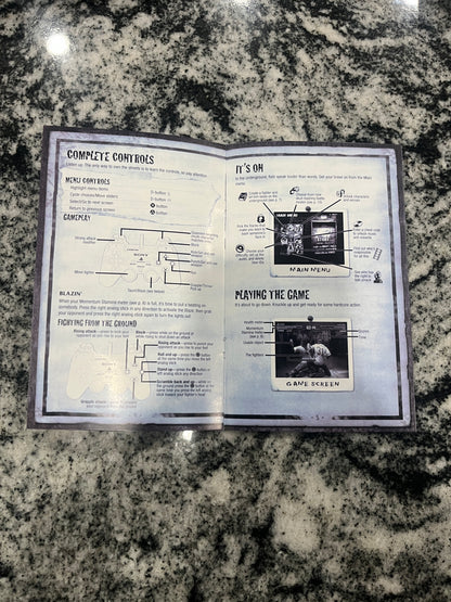 Def Jam Fight for NY PS2 Custom Manual