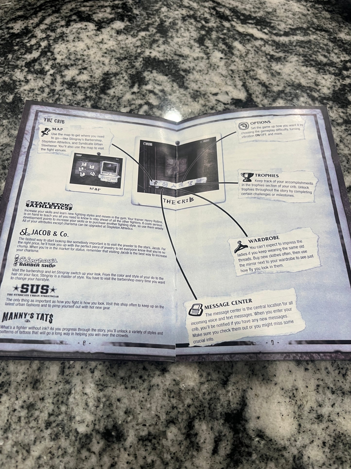 Def Jam Fight for NY PS2 Custom Manual