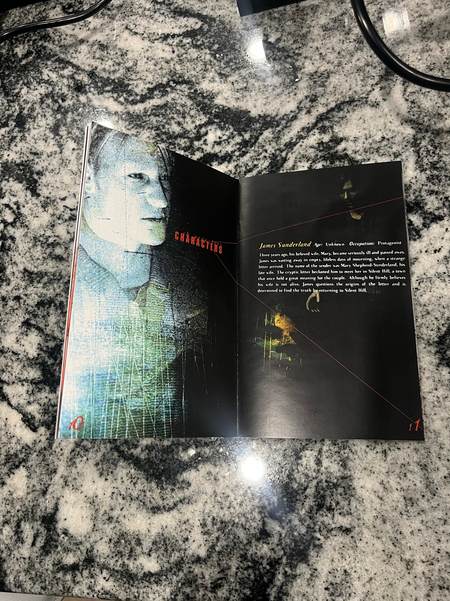 Silent Hill 2 PS2 Custom Manual