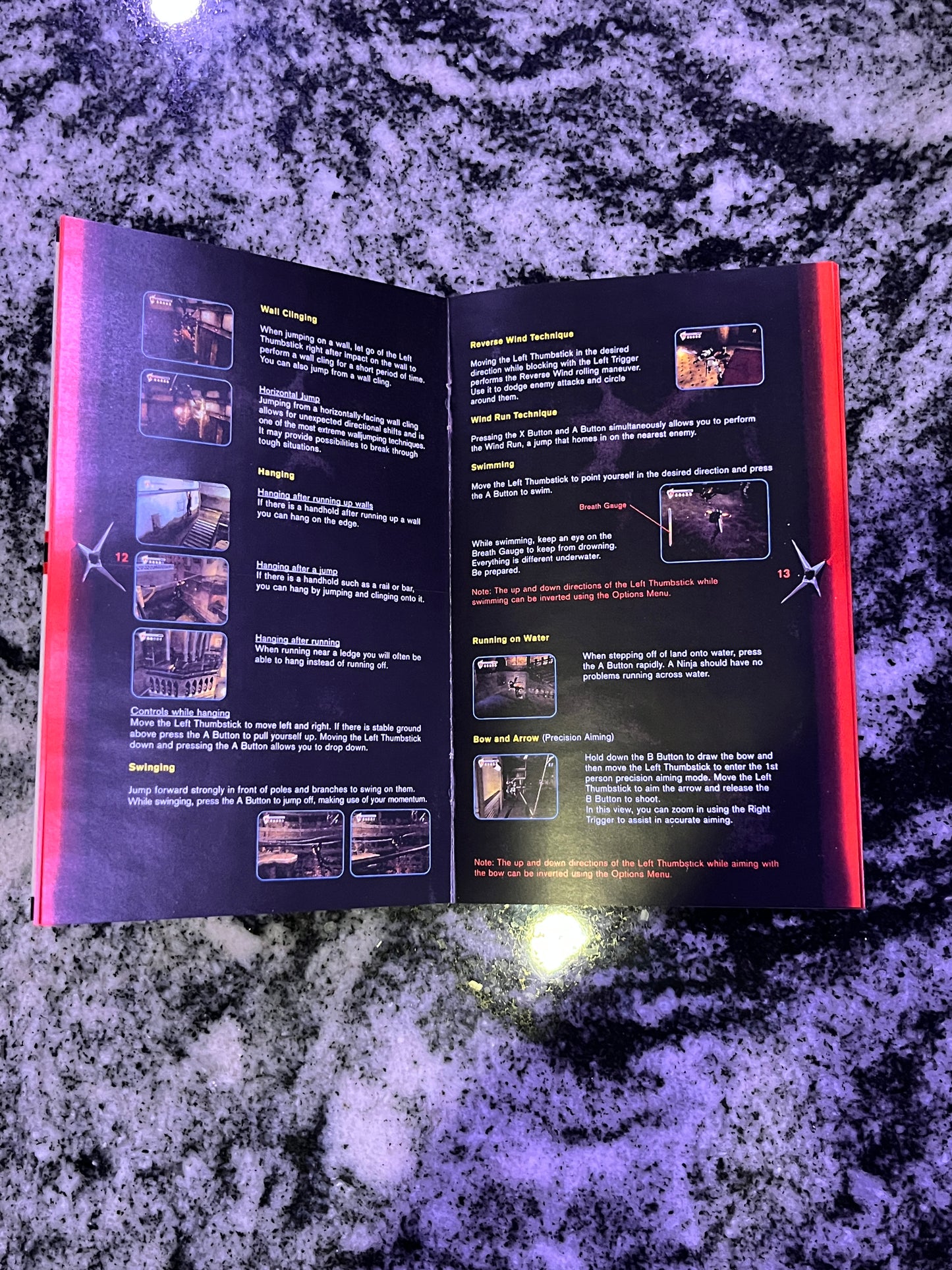 Ninja Gaiden Black Xbox Custom Manual