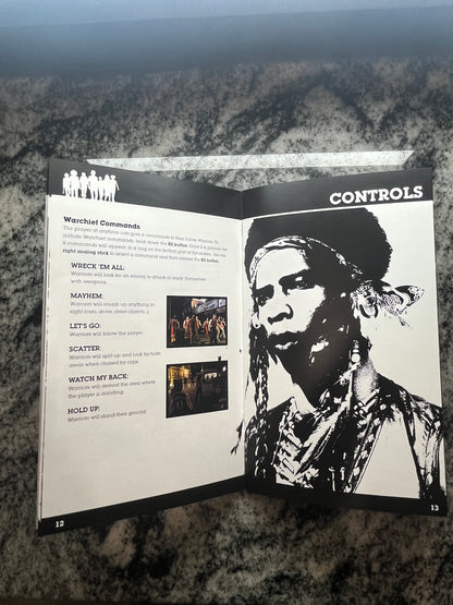 The Warriors PS2 Custom Manual