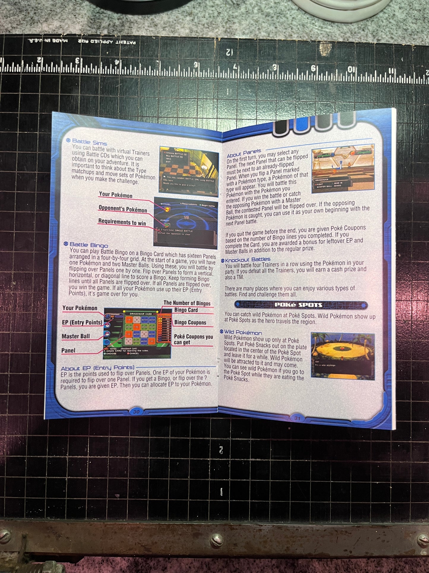 Pokemon Gale of Darkness GameCube custom manual