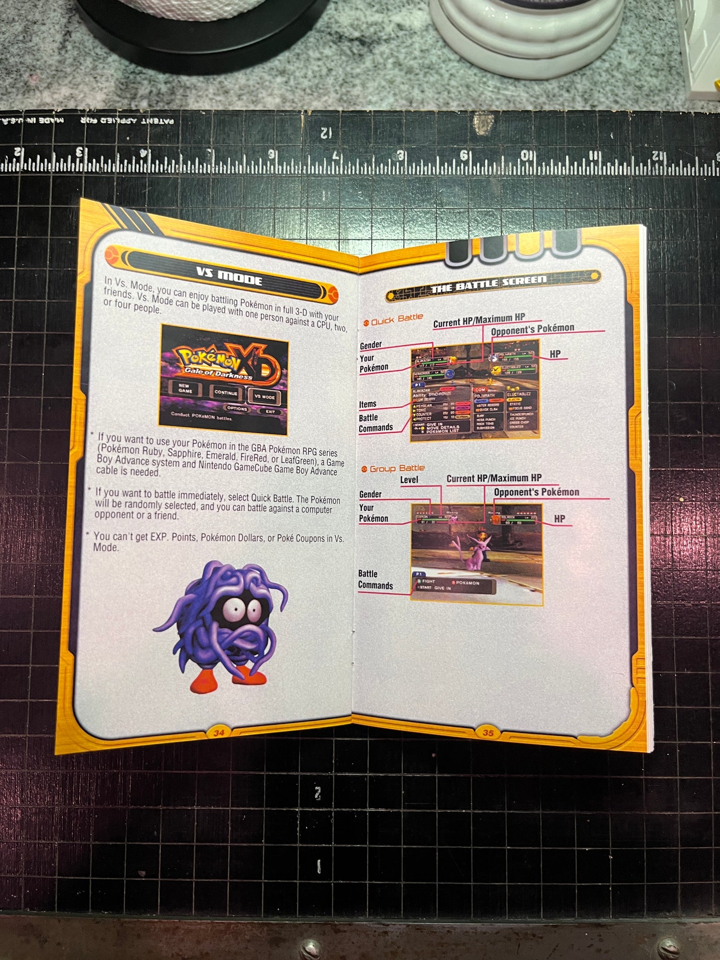 Pokemon Gale of Darkness GameCube custom manual