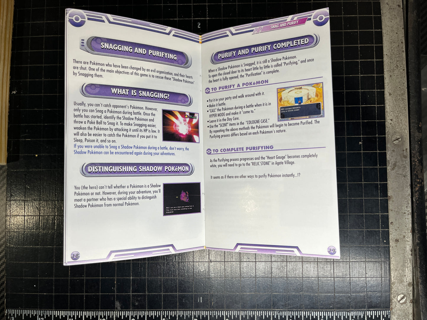 Pokemon Colosseum GameCube custom manual