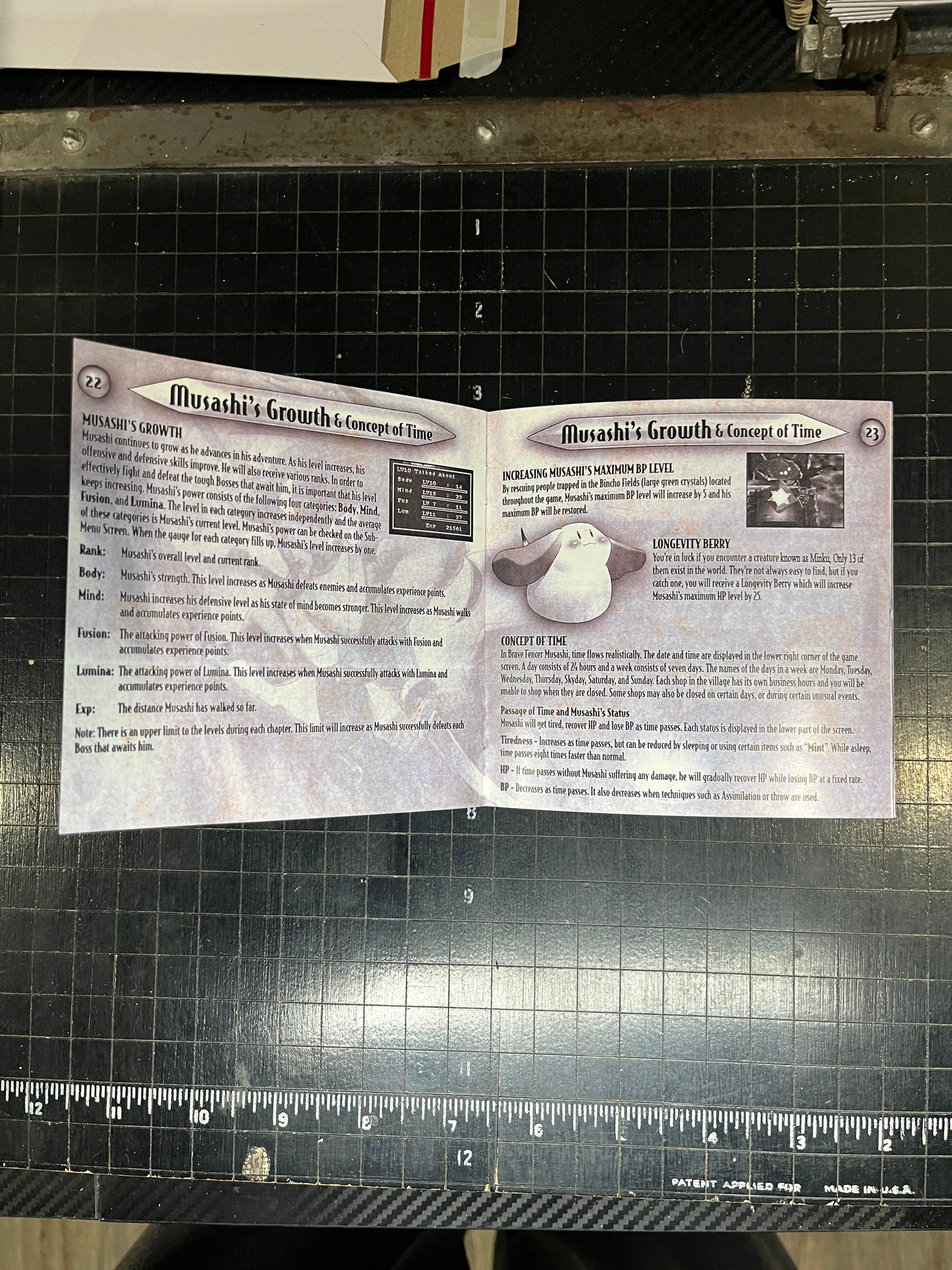 Brave Fencer Musashi PS1 Custom Manual