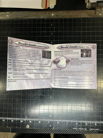 Brave Fencer Musashi PS1 Custom Manual