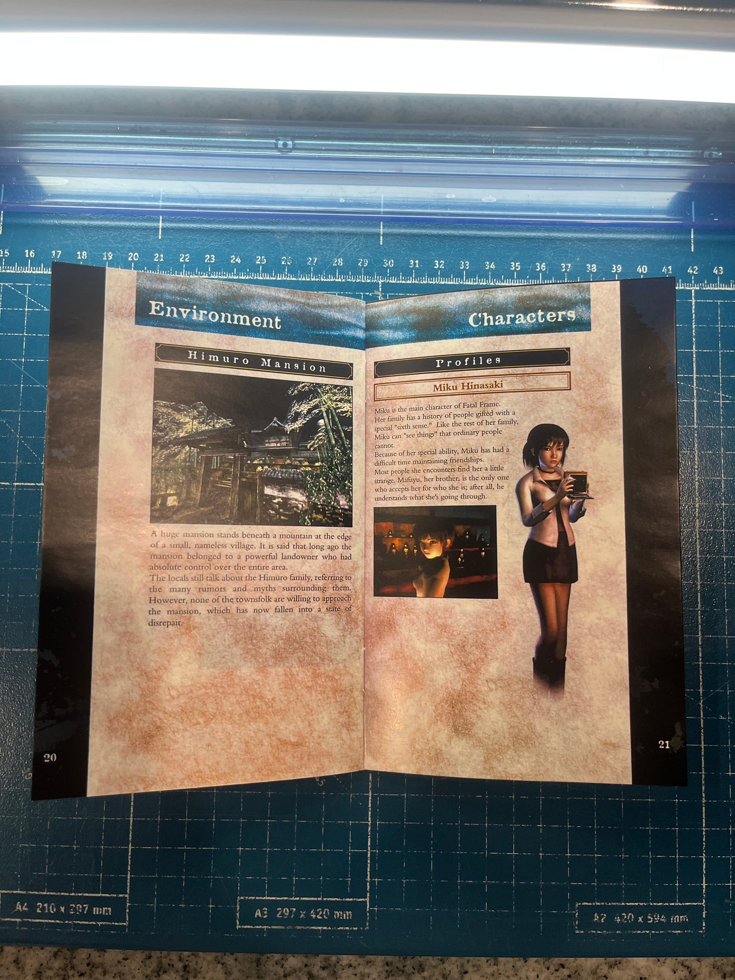 Fatal Frame Xbox Custom Manual