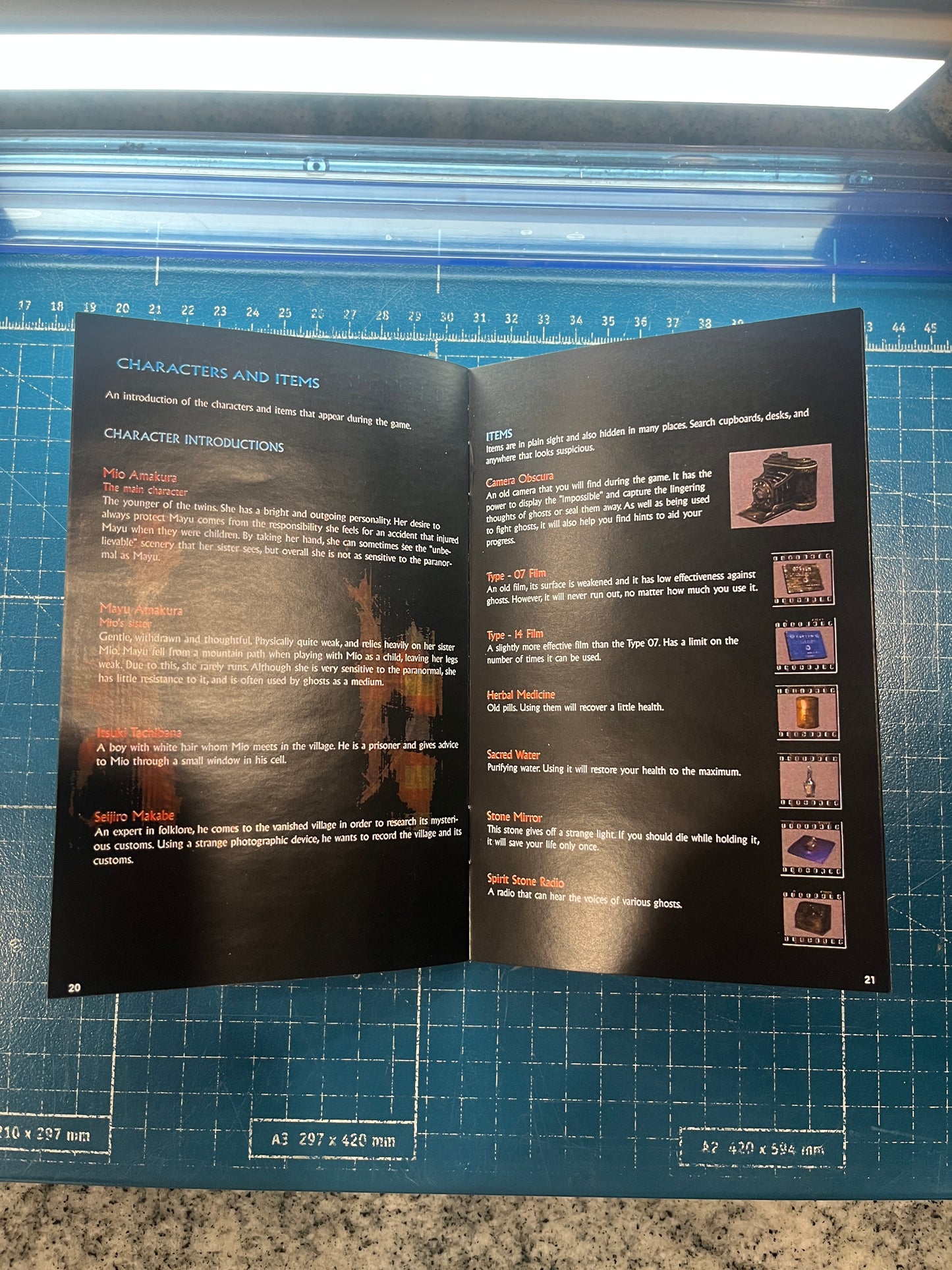 Fatal Frame 2 Crimson Butterfly Xbox Custom Manual