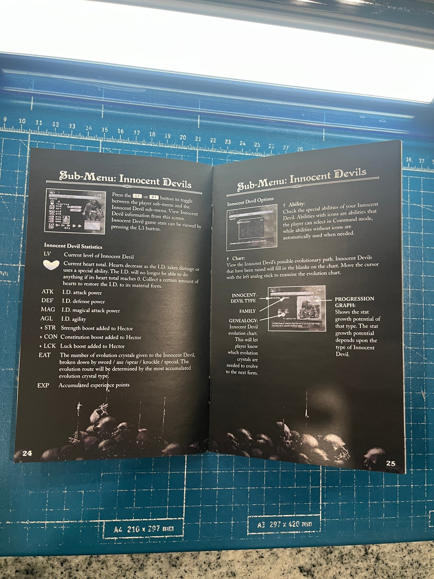 Castlevania Curse of Darkness PS2 Custom Manual