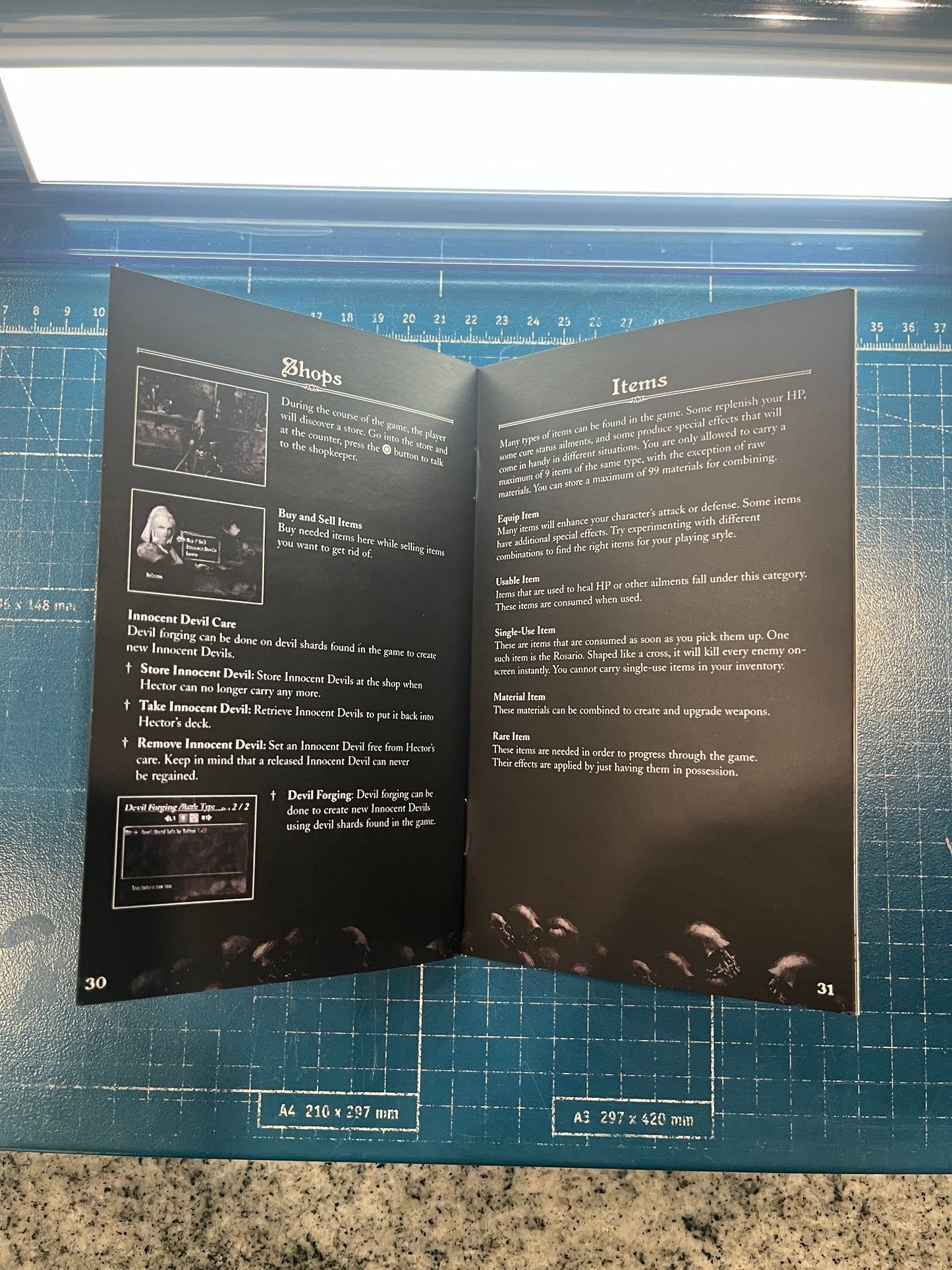 Castlevania Curse of Darkness PS2 Custom Manual